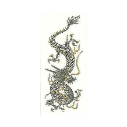 昇り銀龍 / Rising Silver Dragon