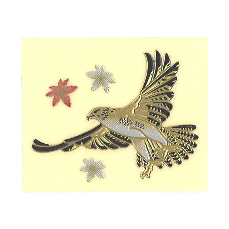 ハヤブサ/ Falcon