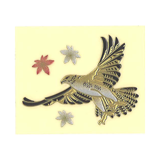 ハヤブサ/ Falcon