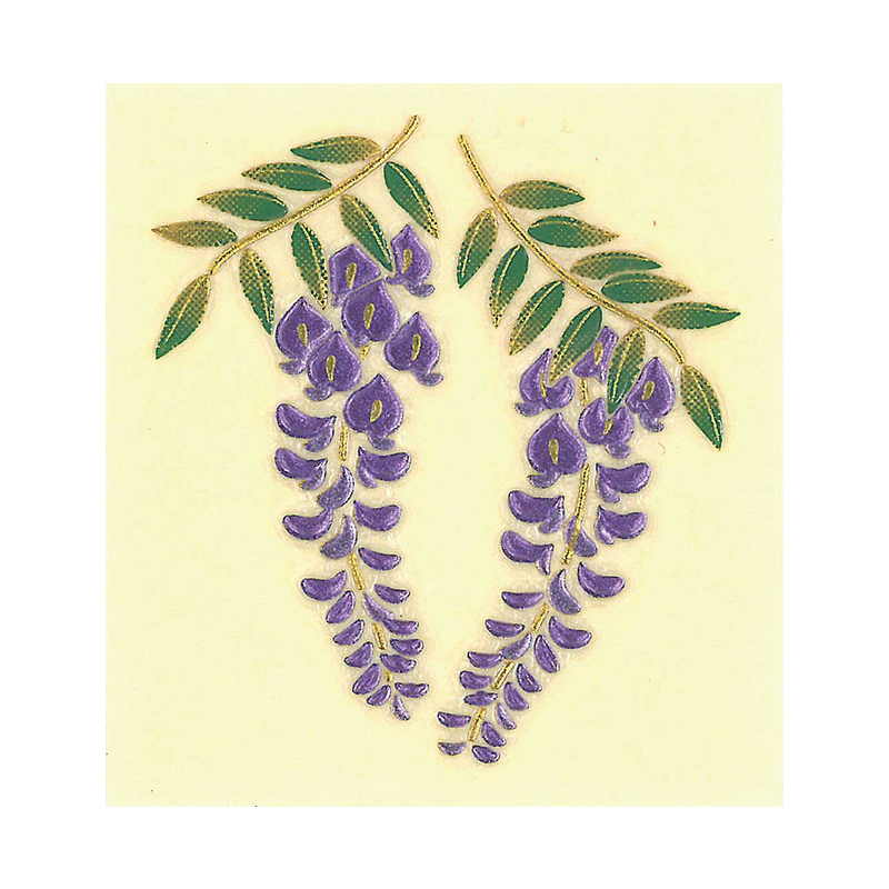 藤の花 / Wisterias